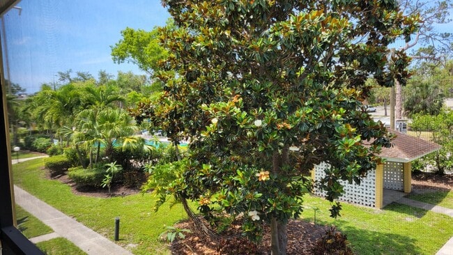 Building Photo - Annual Turnkey furnished renovated 1/1 dow...