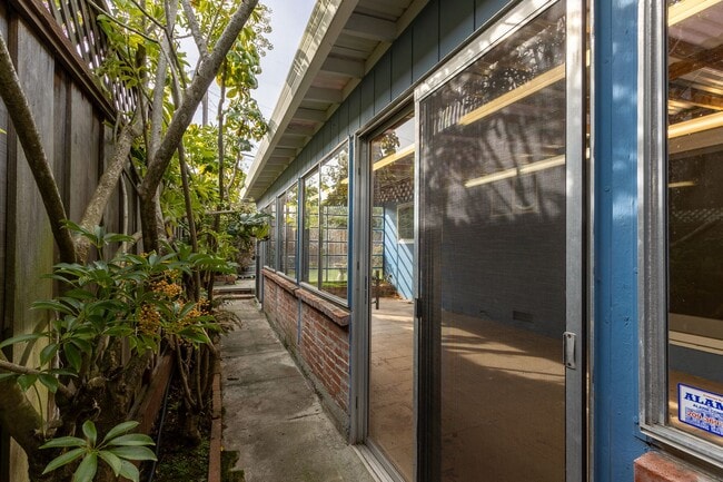 Building Photo - Beautiful & bright 3 bed / 2 Bath San Brun...