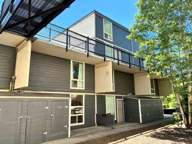 Building Photo - Long Term Rental- Oro Fino 209
