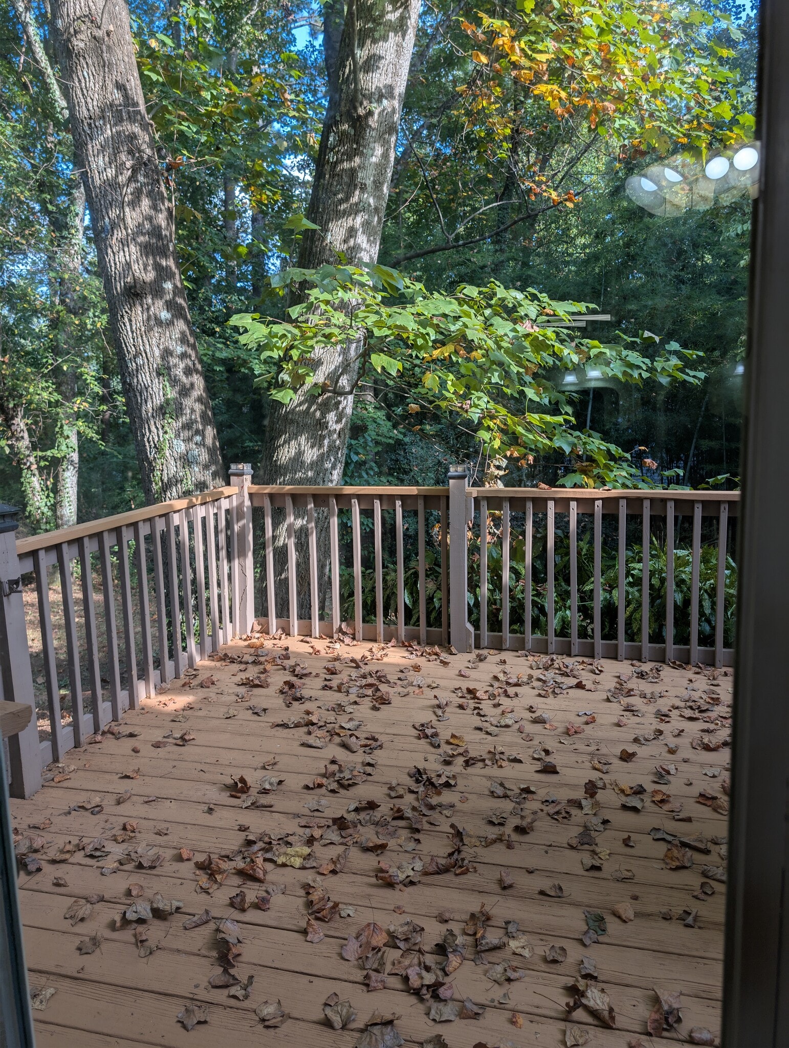 Building Photo - 442 Rustic Ridge Cir