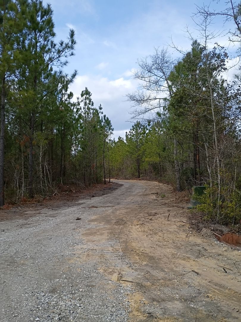 Building Photo - 785 Sandridge Rd