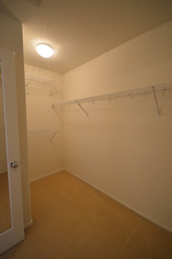 Building Photo - 4102 Castaway Cove