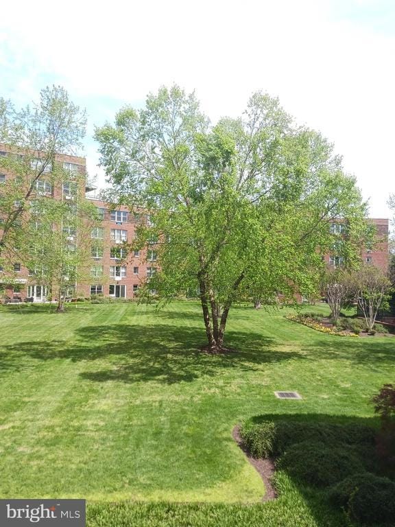 Building Photo - 2500 Q St NW