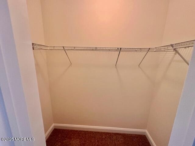 Building Photo - 6203 Fernandez Ct