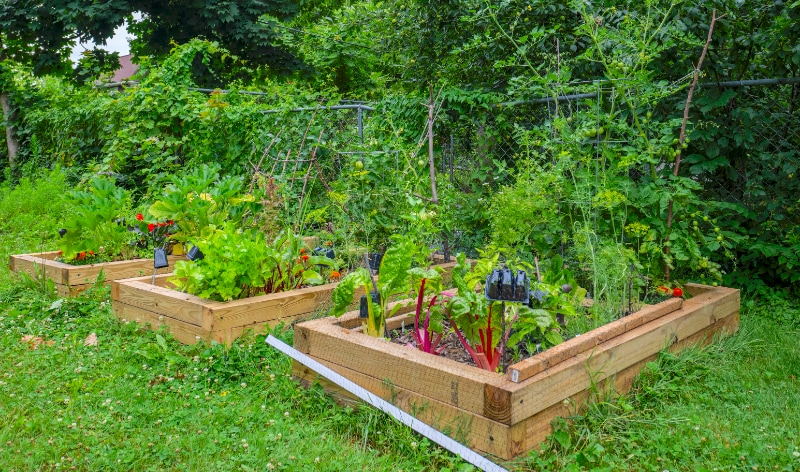 Building Photo - 1731 Parker St