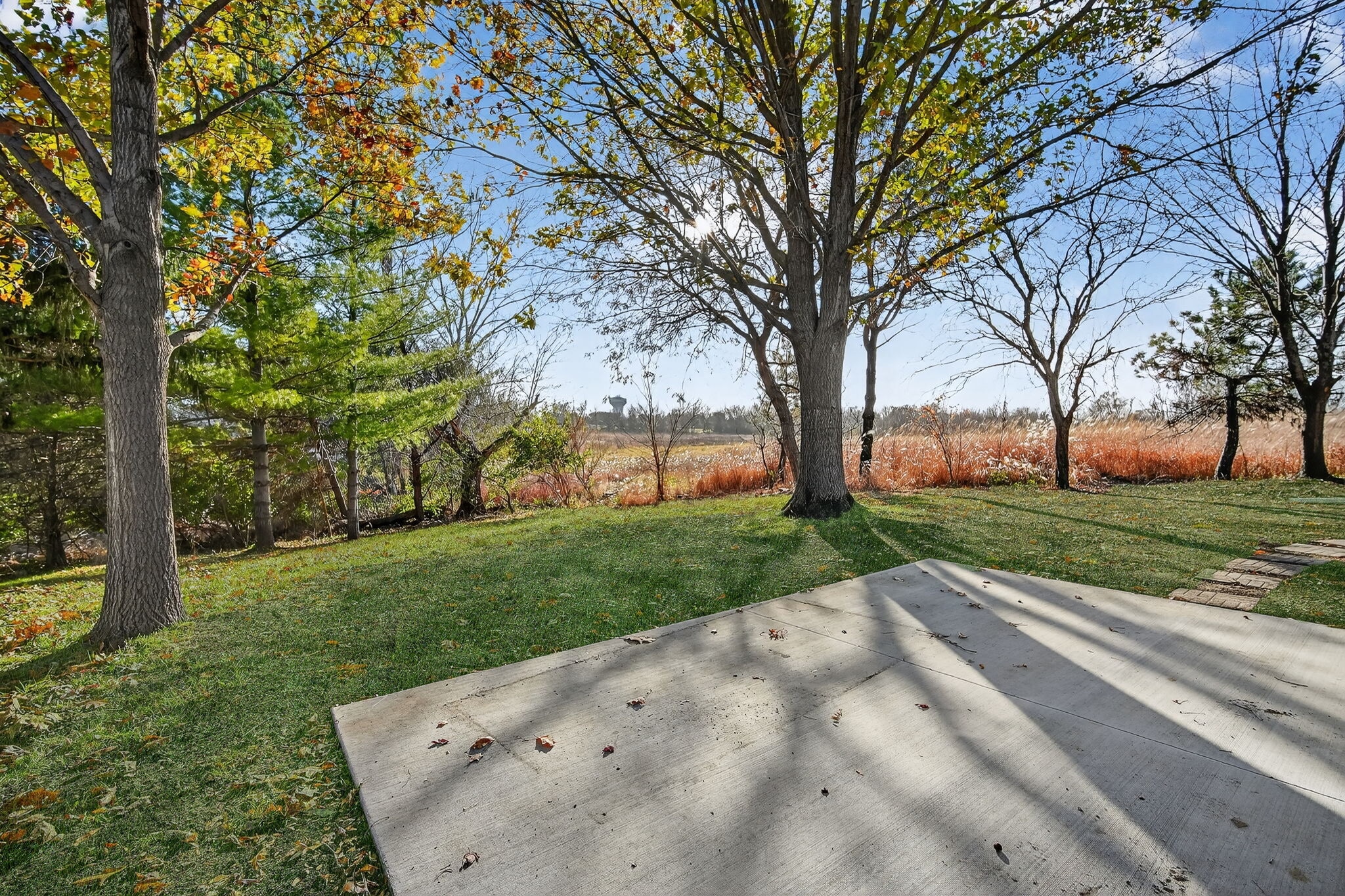 Back Yard - 5428 Norris St