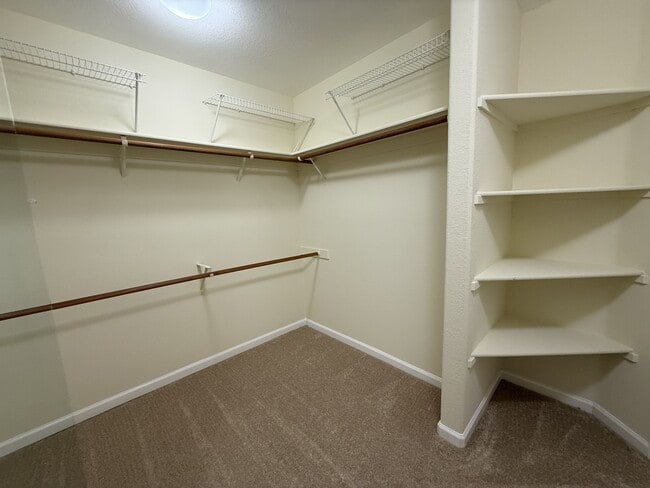 Building Photo - 538 Mill River Ln