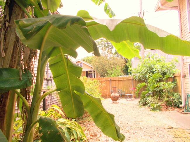 Building Photo - 1700 Dublin St