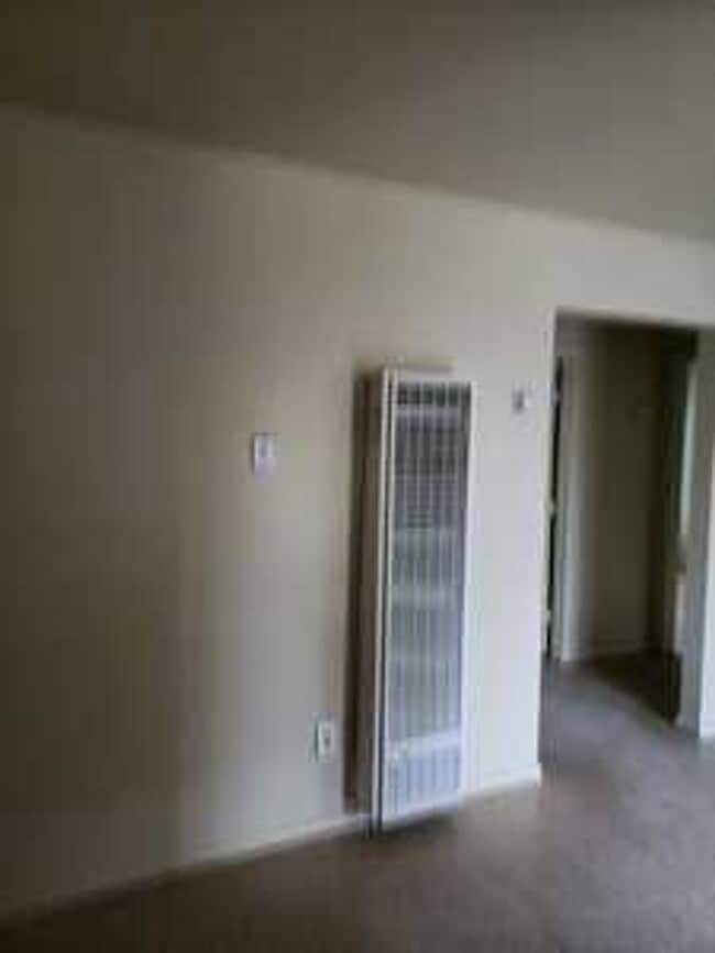 Building Photo - Leon Avenue - Nice Wood Cabinets