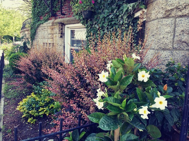 Building Photo - 17-31 Herrick Rd