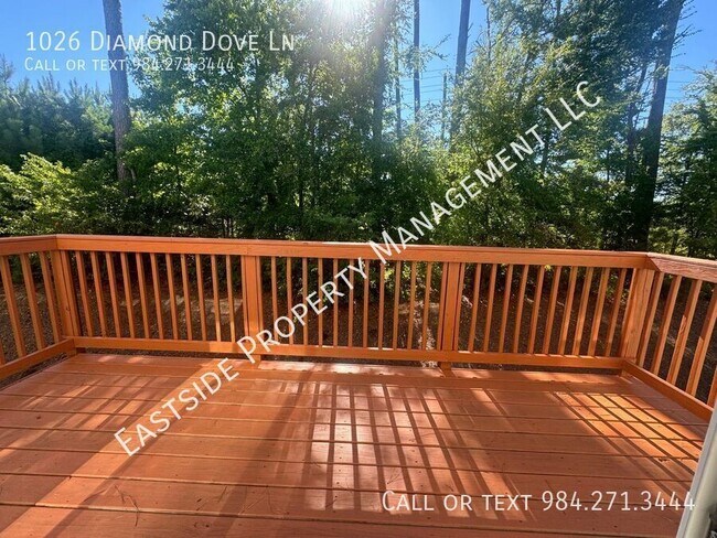 Building Photo - 1026 Diamond Dove Ln