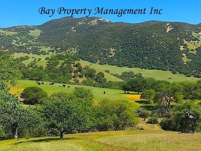 Building Photo - Breathtaking Views from this horse propert...