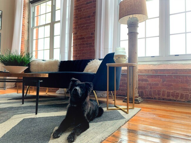 Building Photo - DRAYTON MILLS LOFT APARTMENTS