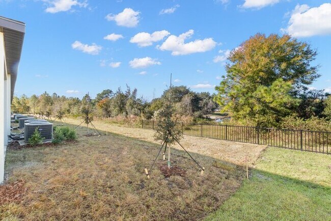 Building Photo - Brand New Tomehome for RENT in Willow Square