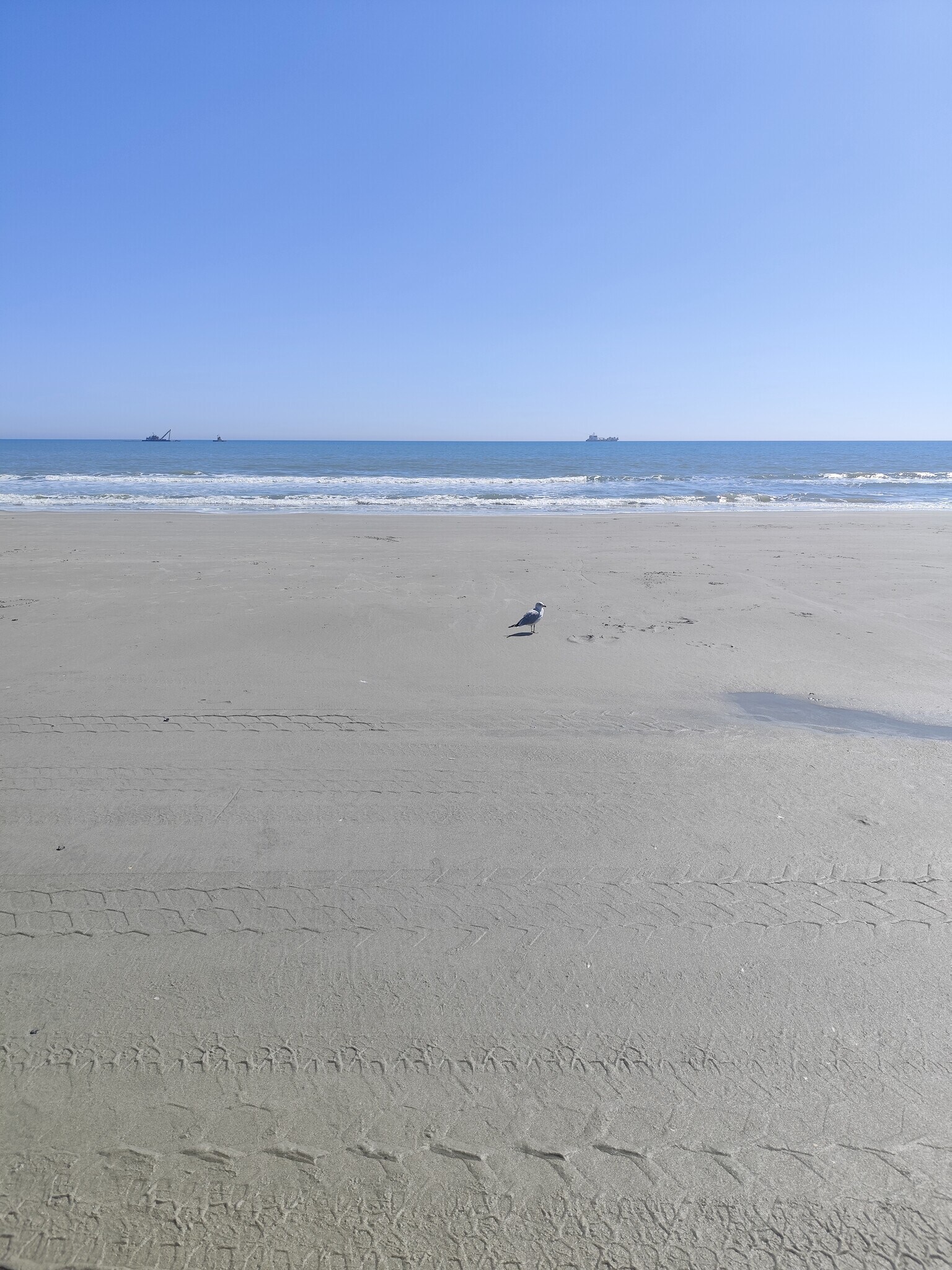 Building Photo - 306 76th Ave N