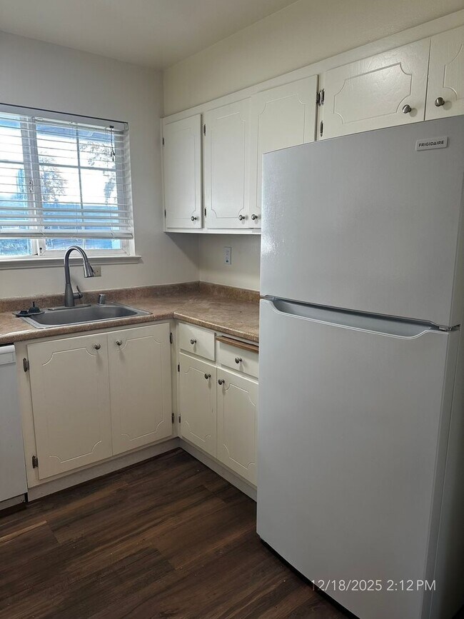 Building Photo - 4 Bedroom Bel Aire Home