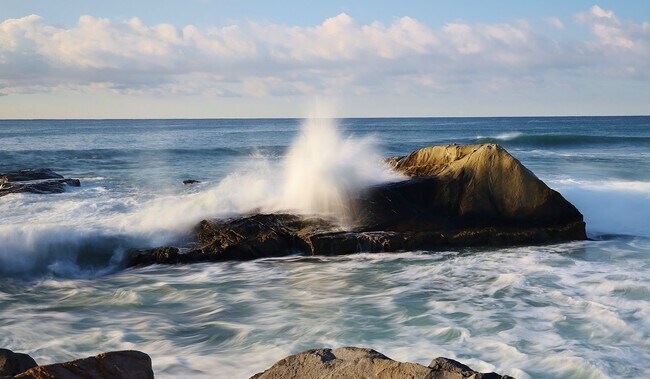 Building Photo - Beautiful Furnished Home in Seaside Villas Near Doheny Beach!