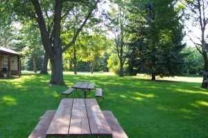 Front Yard - 75571 Van Dyke Rd