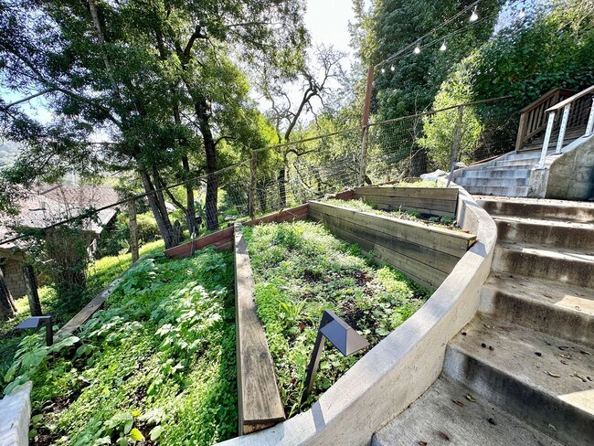 Building Photo - Gorgeous Hillside View, Modern Flat