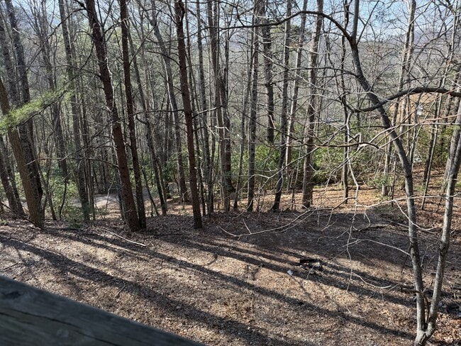 Building Photo - 241 Owl Roost Trail