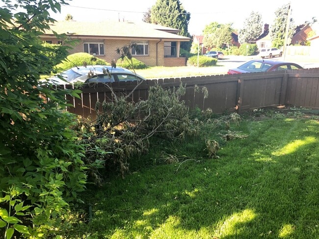 Building Photo - One Block From Sloan's Lake
