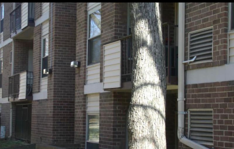 Building Photo - 3825 St Barnabas Rd