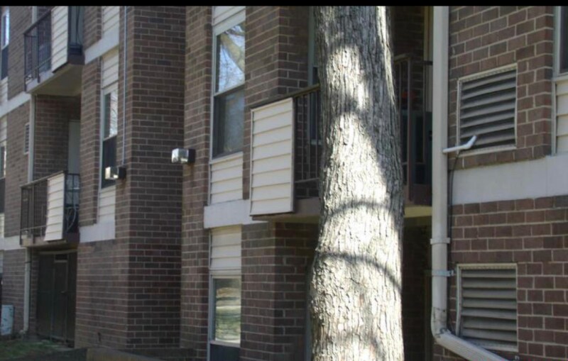 Building Photo - 3825 St Barnabas Rd