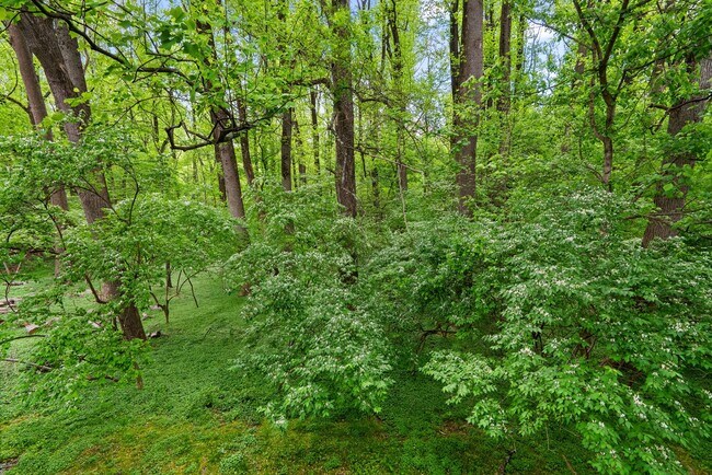 Building Photo - 10643 Weymouth St