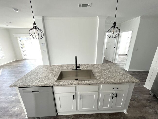 Building Photo - 1009 Vervain Dr