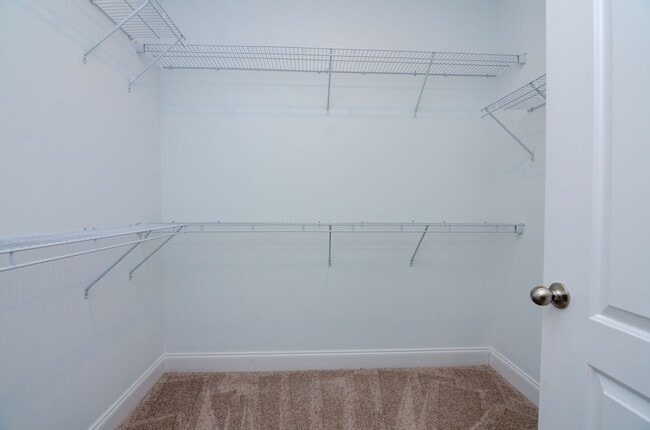 Building Photo - 2045 Moultrie Cir