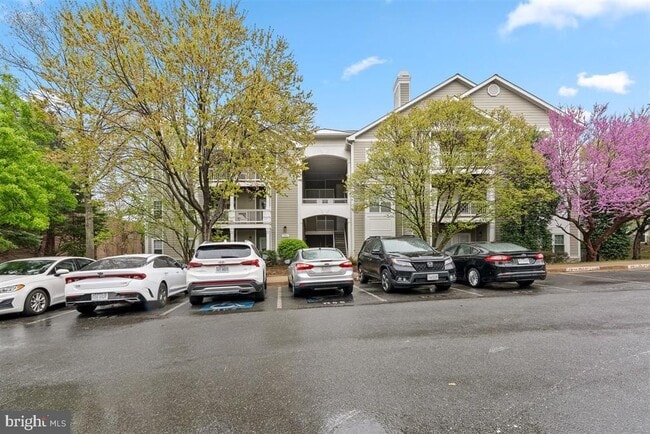 Building Photo - 1708 Lake Shore Crest Dr