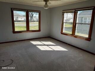 Building Photo - 906 Abbeville Hwy