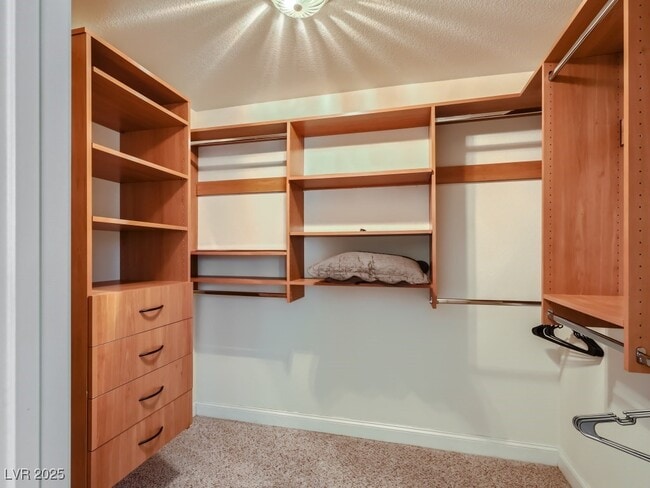 Building Photo - 1221 Fragrant Spruce Ave