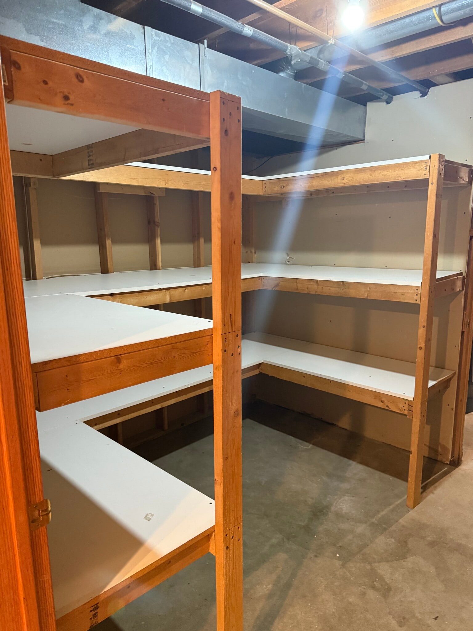 Storage in Basement - 14707 Dominica Ct