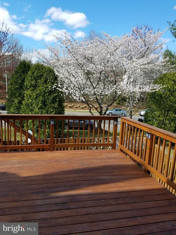 Building Photo - 14210 Autumn Cir