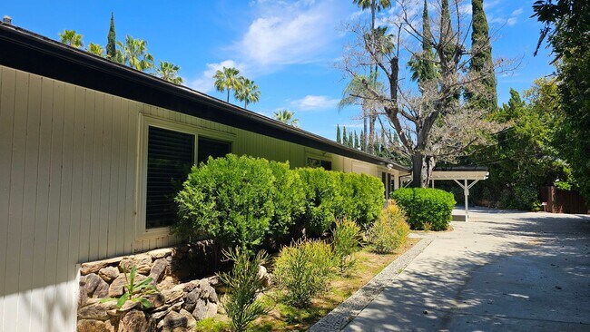 Building Photo - Mid Century Modern - 4 Bedroom Carlton Terrace Pool Home