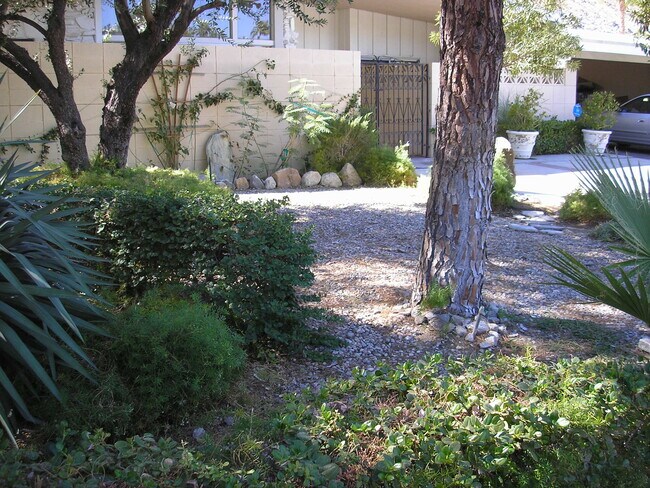 Front garden - 835 N Rose Ave