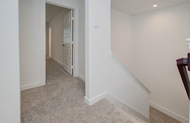Building Photo - 12312 Frisco Cv Ct
