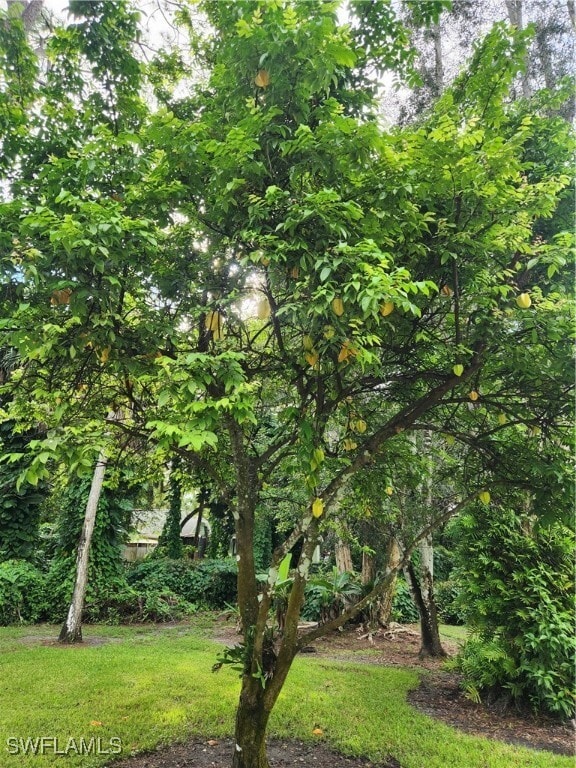 Building Photo - 5930 Spanish Oaks Ln