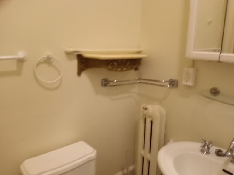 bathroom corner - 288 Washington Ave