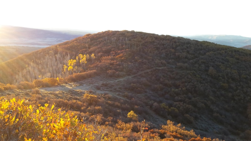 Building Photo - 39021 Holly Ln