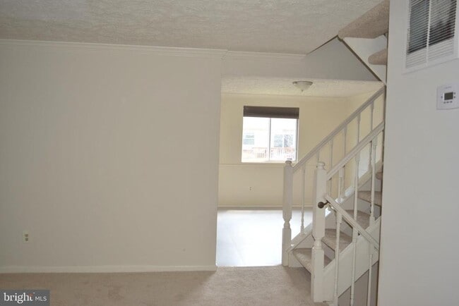 Building Photo - 3855 Sunny Brook Ct