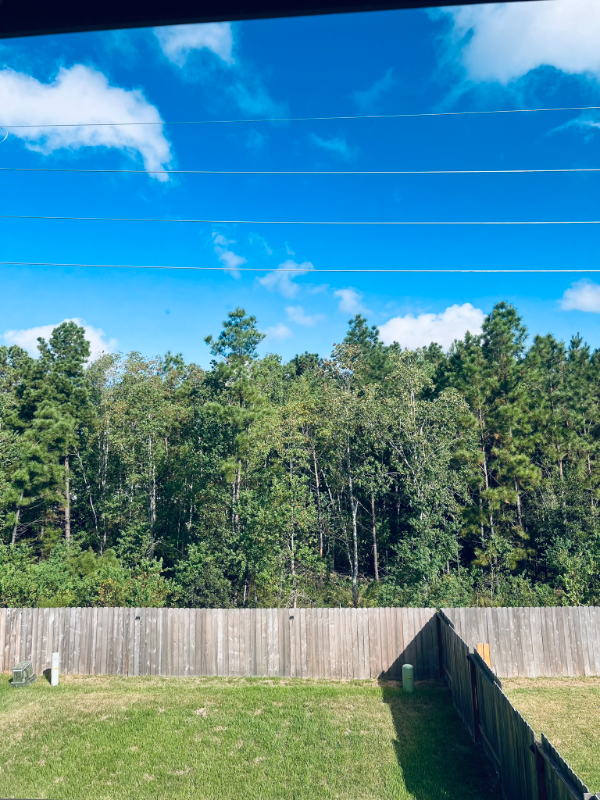 Building Photo - 2019 Buckland Hollow Trl