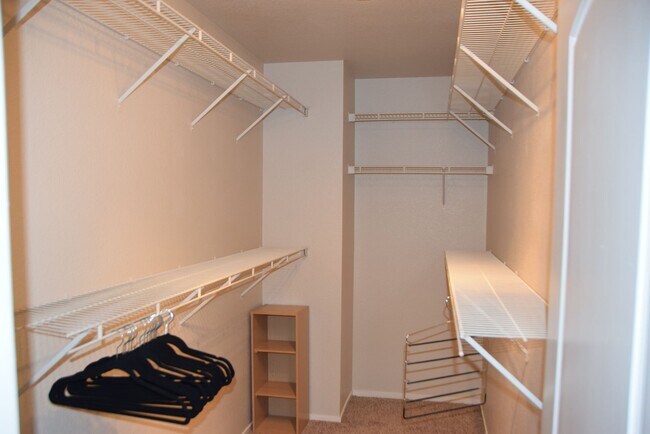 Building Photo - 8765 Country Pines Ave