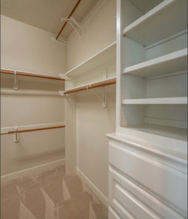 Building Photo - 5019 Shining Creek Ct