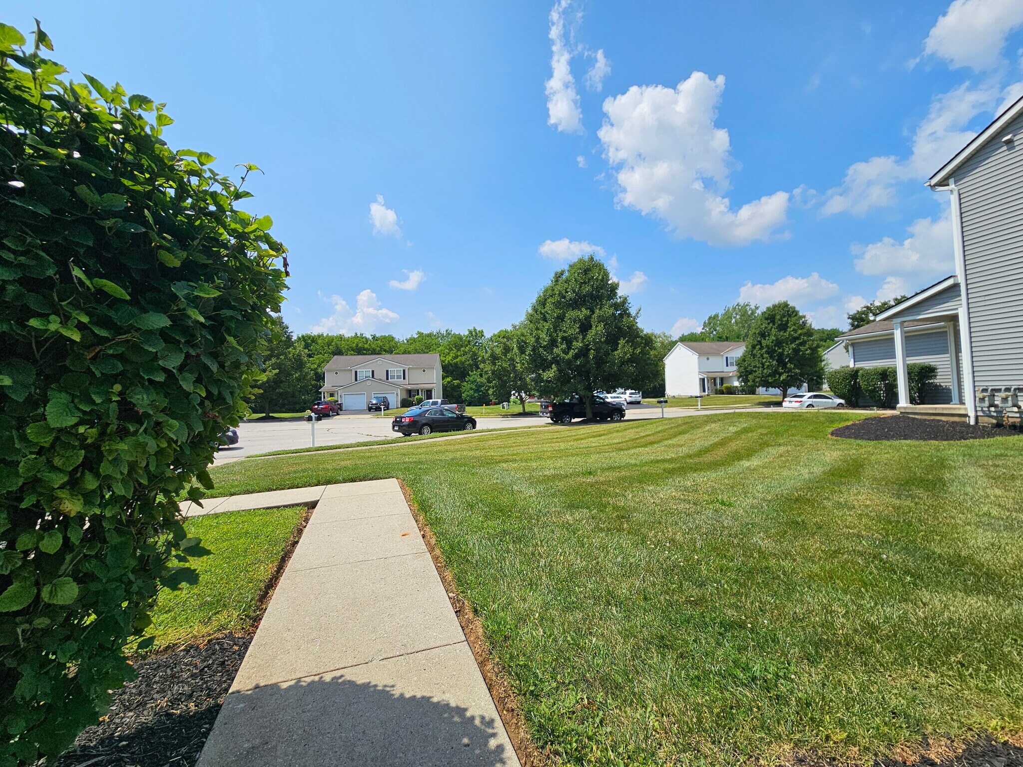 Building Photo - 126 Wagnalls Ct