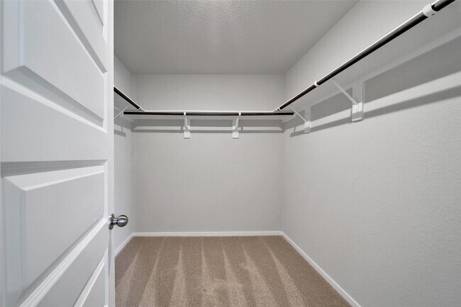 Building Photo - 8007 Camphor Ct