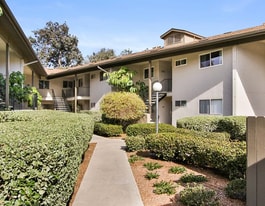 Building Photo - 4095 Bonita Rd