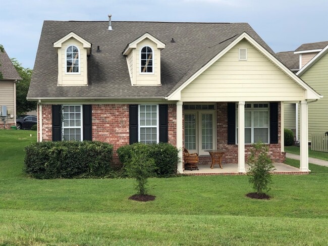 Building Photo - 247 Dobson Branch Ct