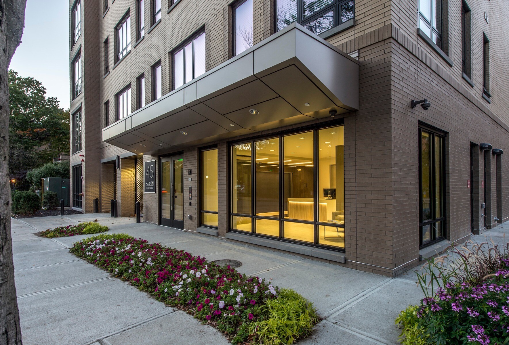 Building Photo - 40A Marion St